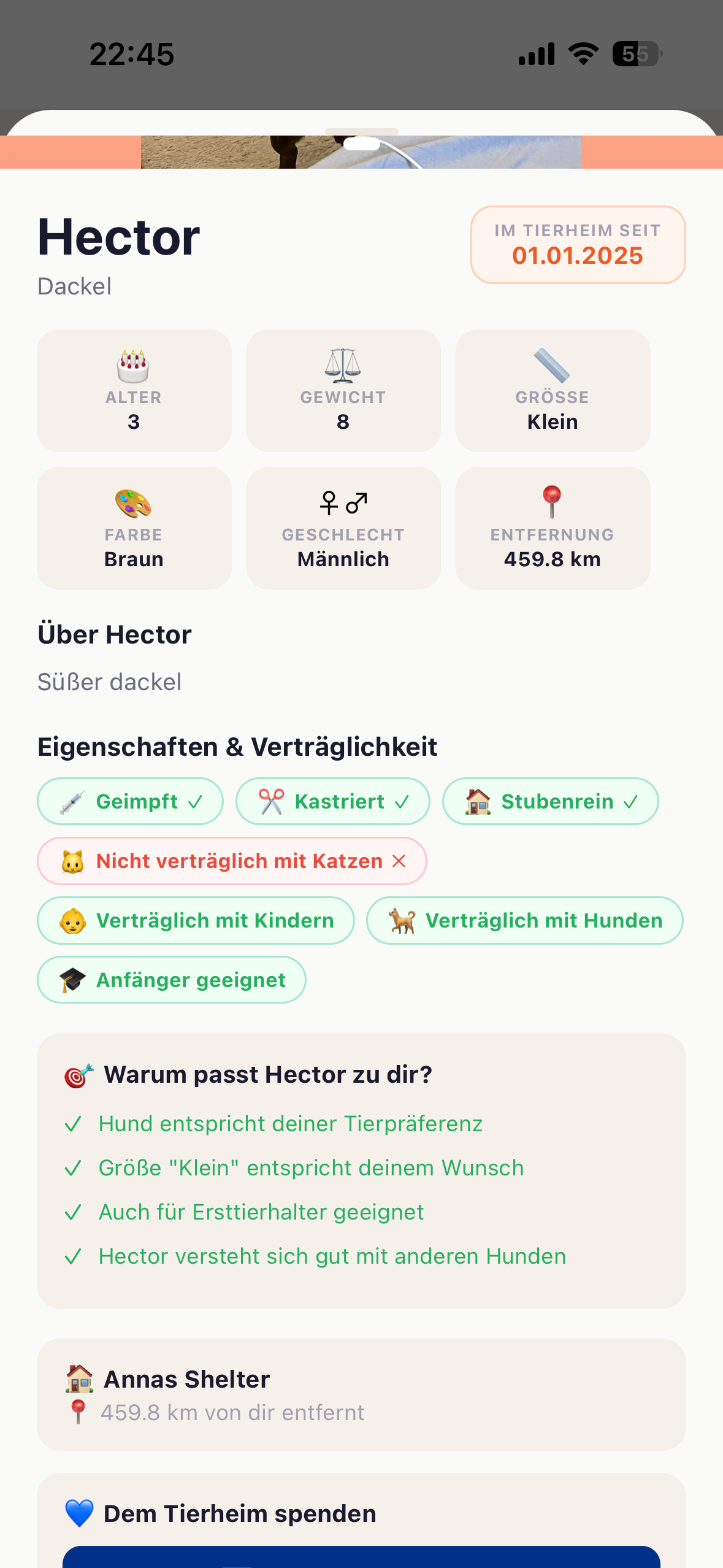 Tierdetail-Ansicht mit Matching-Gründen auf einen Blick